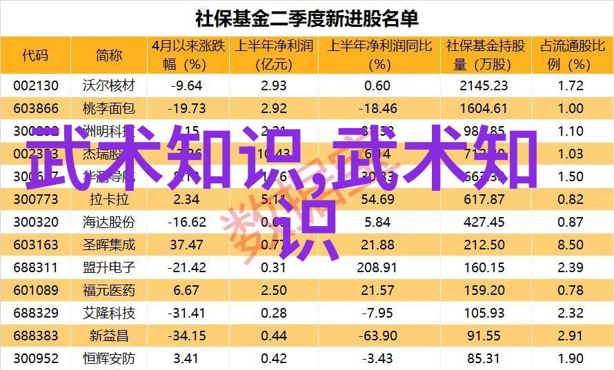 中国武术的巅峰之作拳脚并进的实战技巧