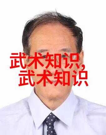 剑破九霄幻想世界中的剑法奇谭