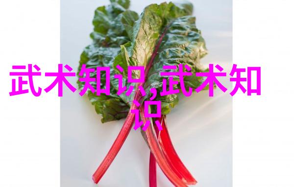 古稀老人的太极情缘