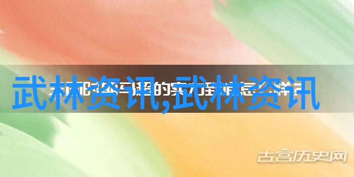 四十式太极拳视频带口令学习中国传统武术的全套视频教程