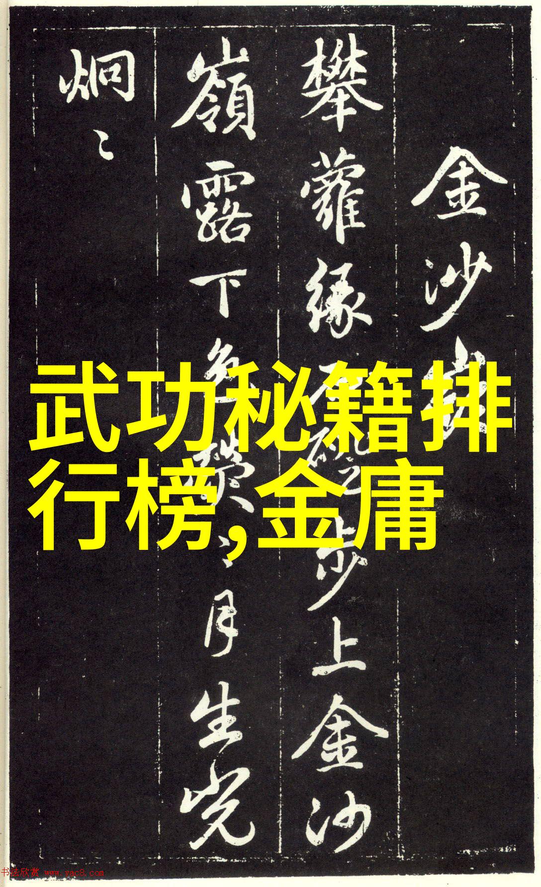 武术秘籍探秘我和5000本武术秘籍的奇妙冒险