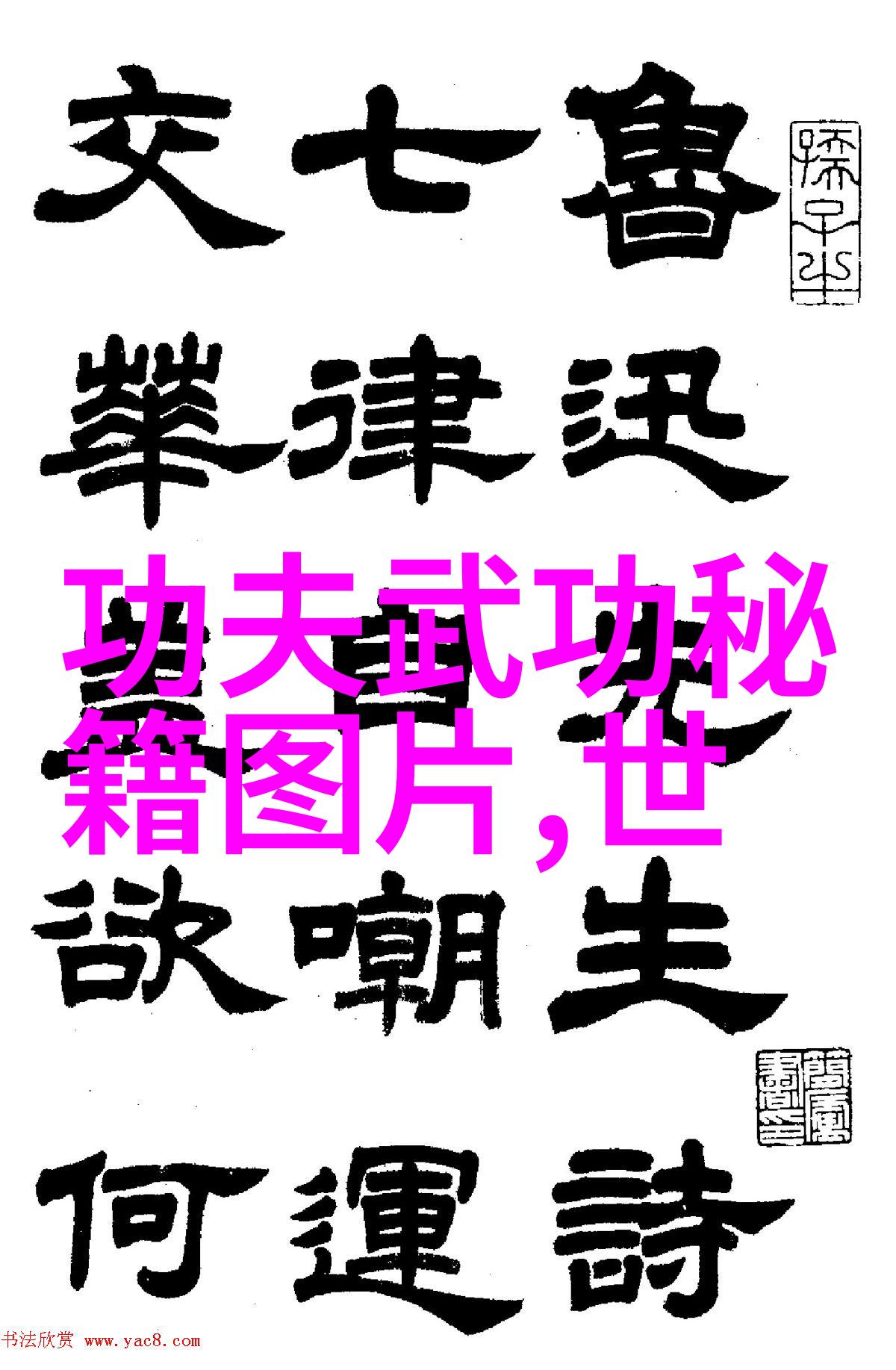 武林传承者李小龙功夫教学视频中蕴含的古代武技