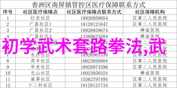 初学者武术训练计划一步步走向精通