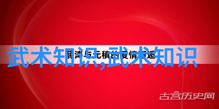 揭秘古今武林绝学从草堂到江湖笑谈中国武术