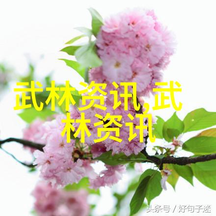 一日轻功秘籍与练习法则