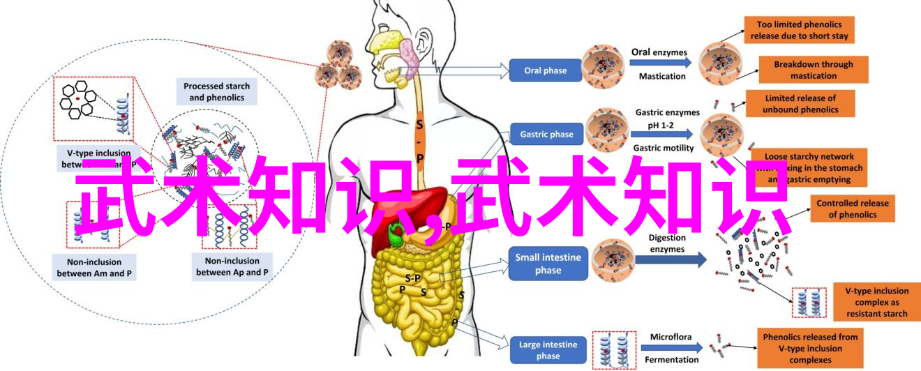 安徽武林门派传说探索安徽古典武术的神秘门派