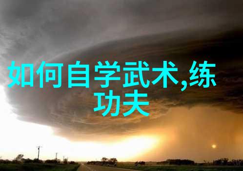 武功秘籍大全招式拳法图片揭秘武林高手的绝密技巧一本神奇书里的每个招式都能让你成为拳王