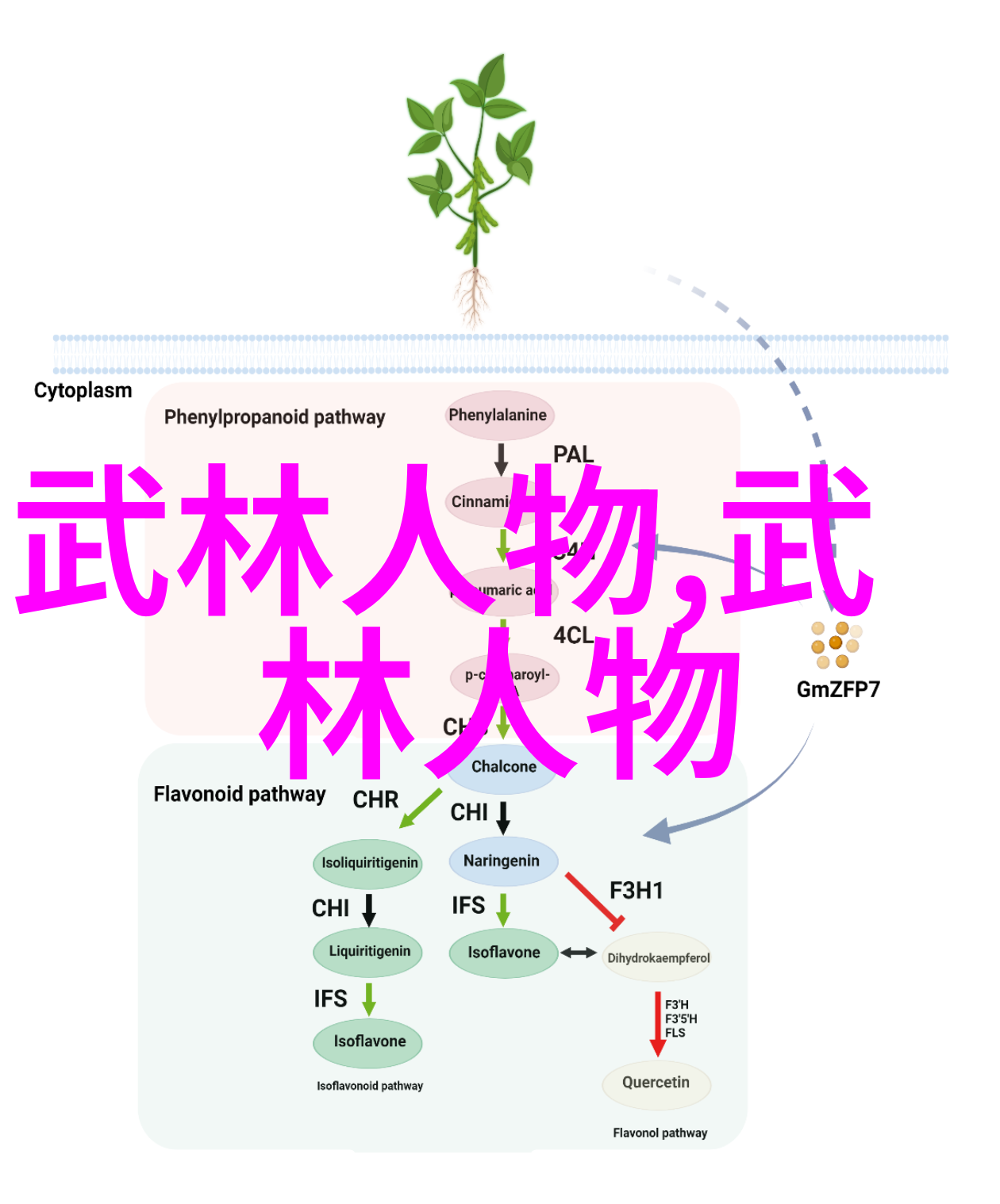 女生帮派秘籍武林志全门内功合集攻略