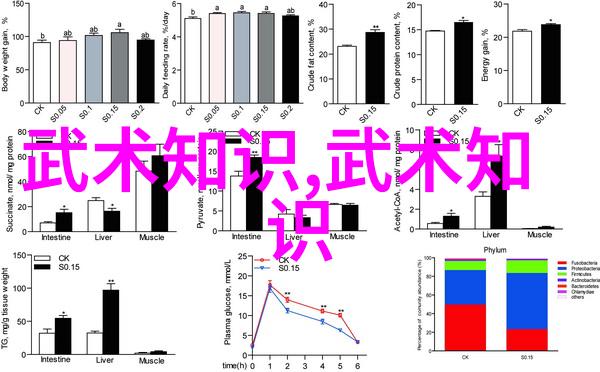 会武术的人很危险-掌心中的风暴武术高手的隐忧与挑战