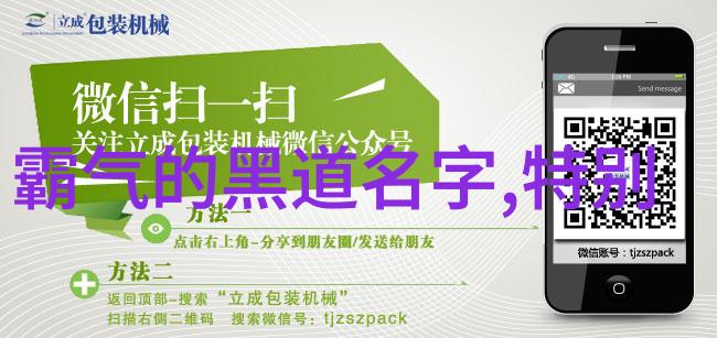 武术史上的绝对强势探究各家流派实战能力的学术分析