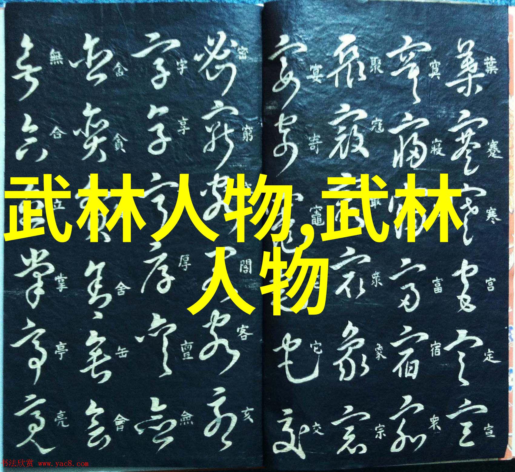 武当全真龙门派传人如同星辰般璀璨照亮武林的道路