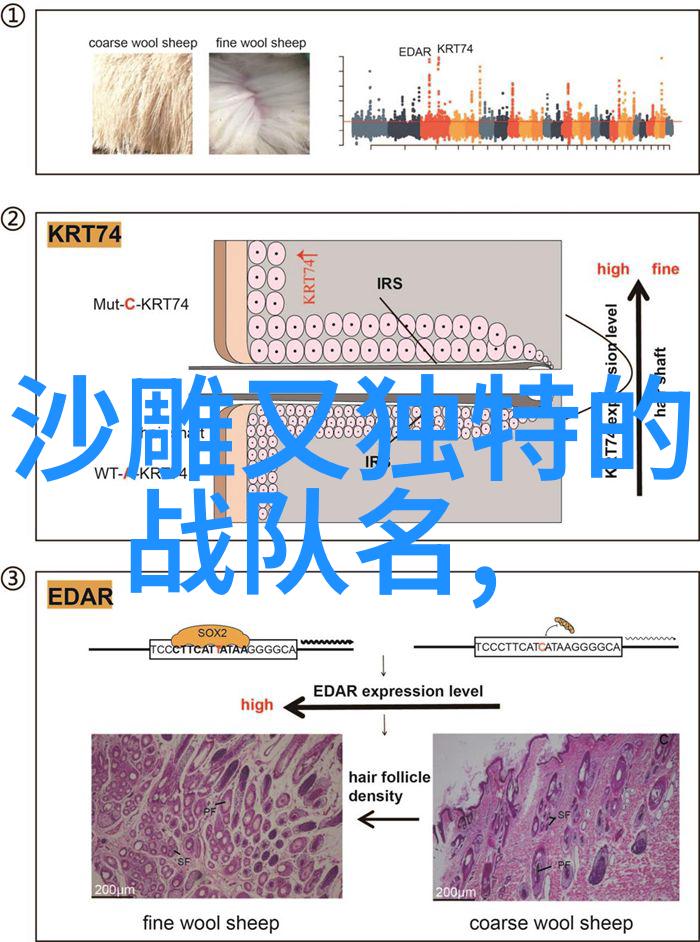 独行侠的修炼武术之路上的自我探索