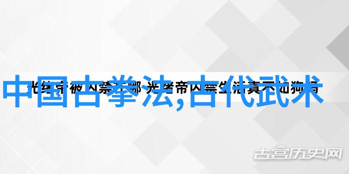 太极拳24式解析揭秘古老武术的精髓与实践方法