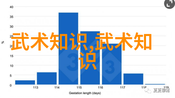 武林秘籍揭秘少林武功的精髓与奥义