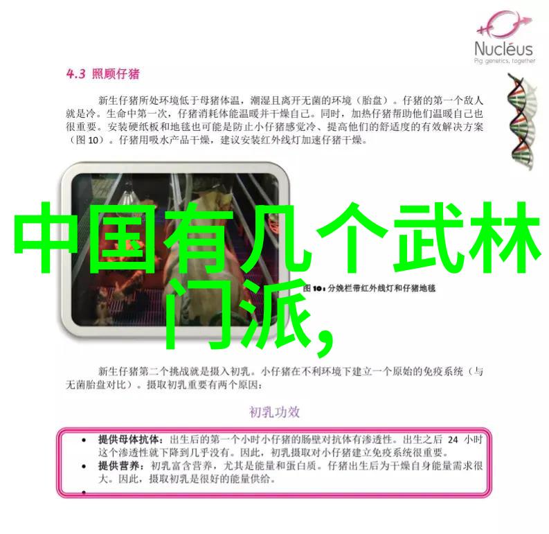 新疆72式迷踪艺社会中的儒雅古风帮派拳种