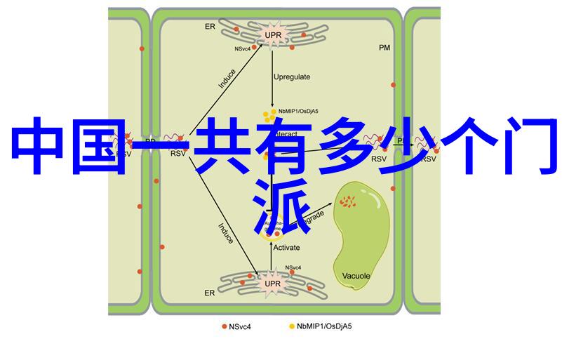 在教授学生之前我们需要对自己掌握程度有多深入了解