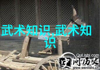 武功修炼-从零到英雄普通人的武功实战指南