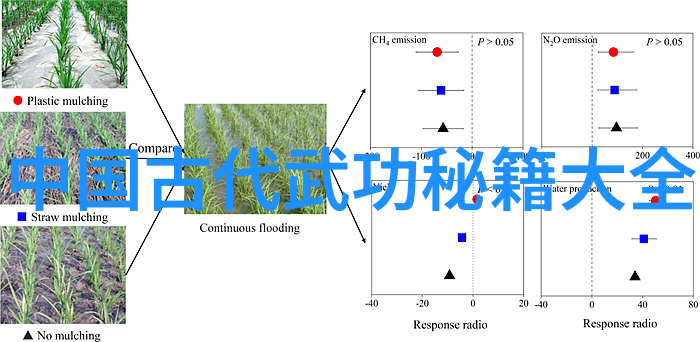 春韵荟萃咏春诗文之门派对比