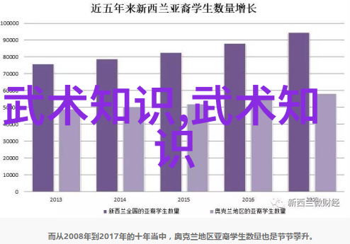 中国传统武术拳法中华古代武技艺术