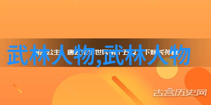 揭秘李小龙功夫教学视频传承武术精髓与动态体验