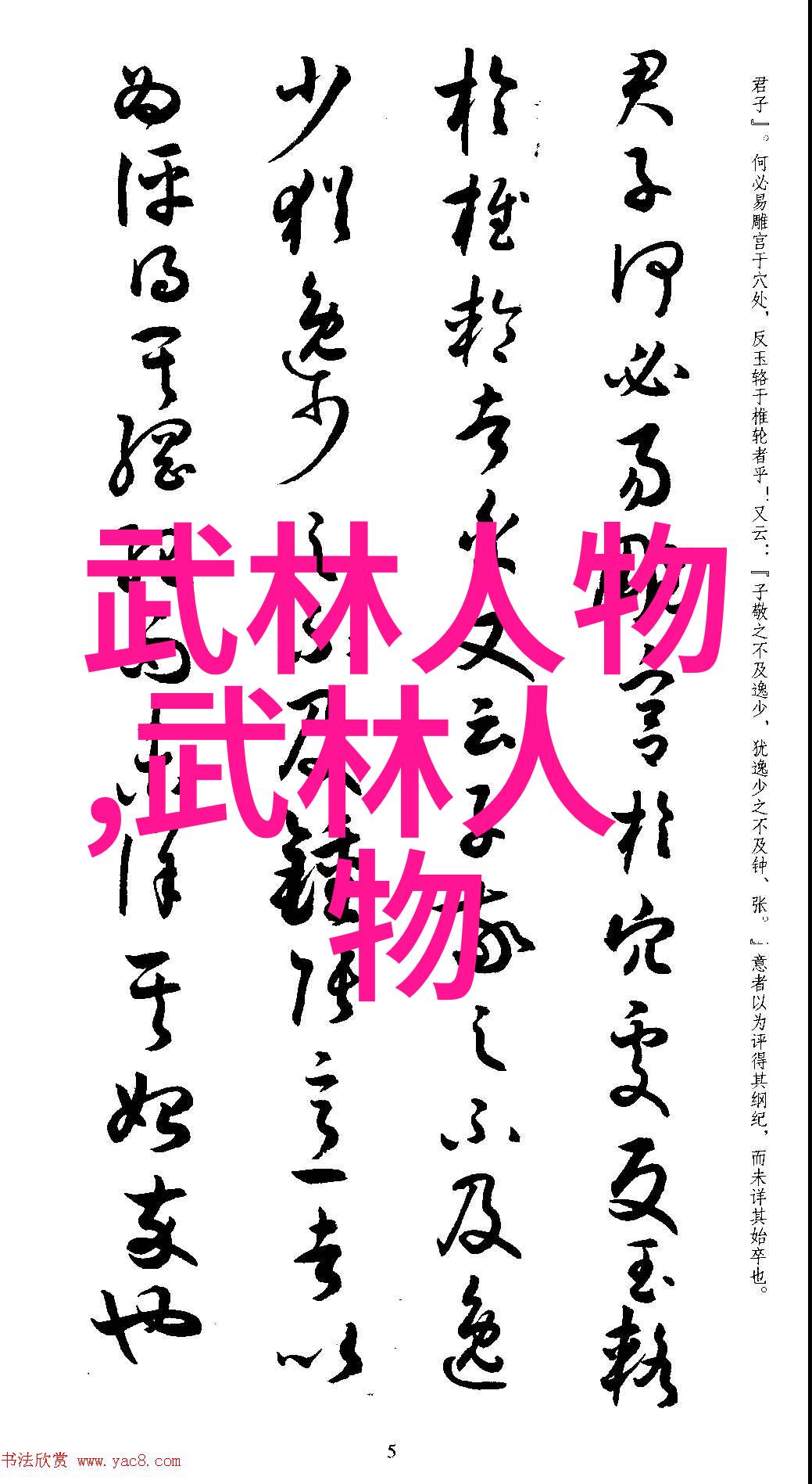 正宗是什么含义如果把这概念应用到两者之间我们可以怎样理解它们各自所代表的文化内涵和实践意义