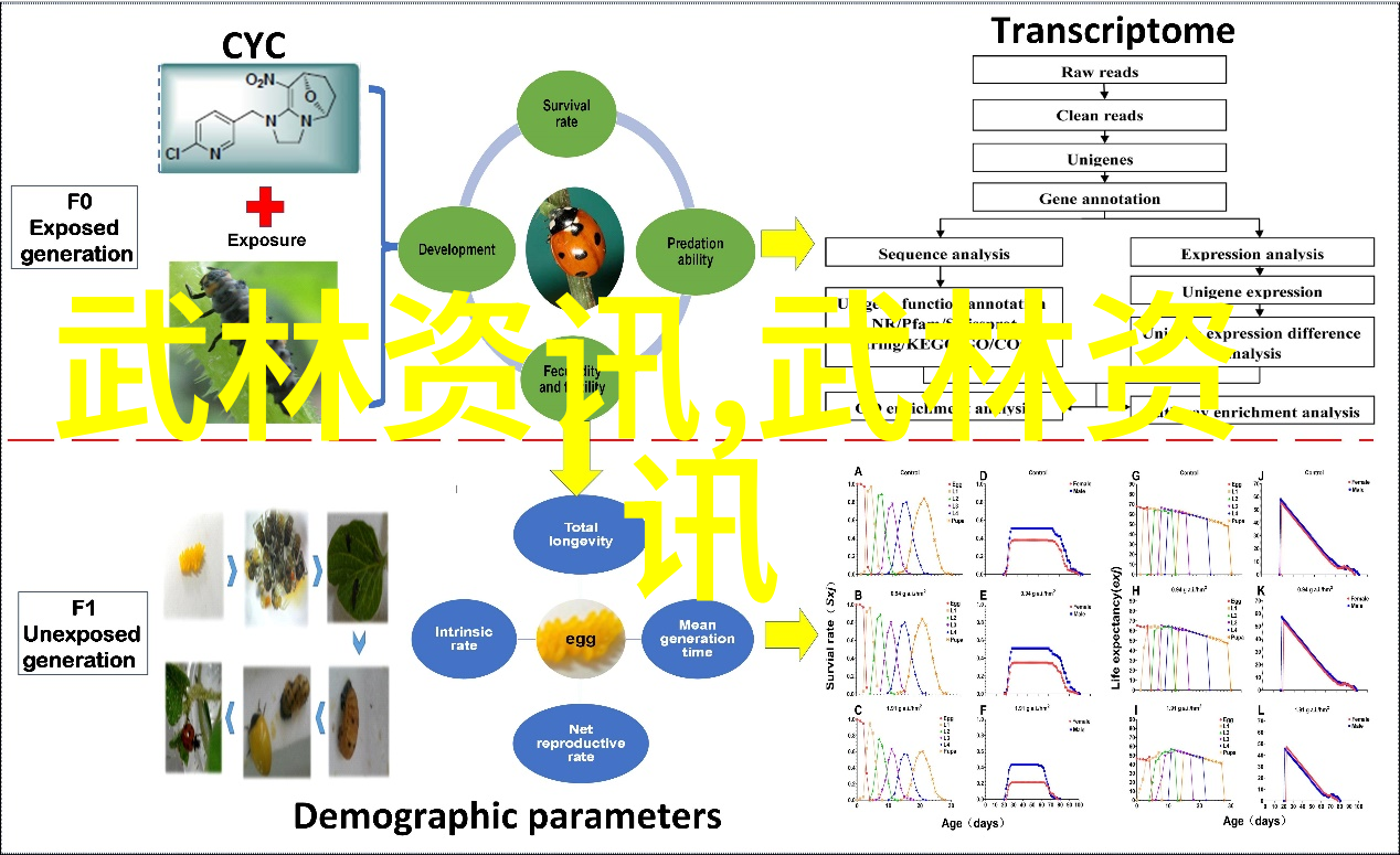 武林中的门派传统与现代的融合