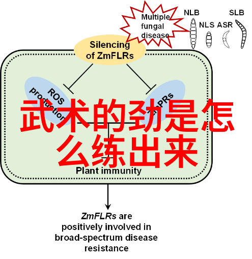 搞笑逗比的帮派名字大全少林洪门武功门派拳种之巅