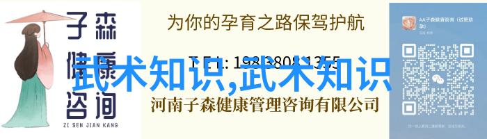 武术知识-探秘中华武学揭秘拳法剑法与太极之奥义