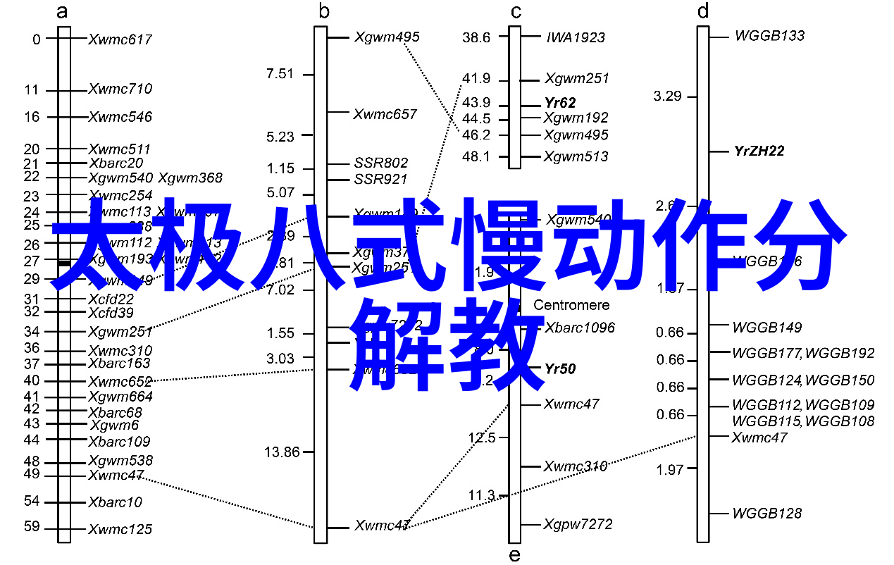 中国古代武林秘籍揭秘传统拳法的艺术与实用