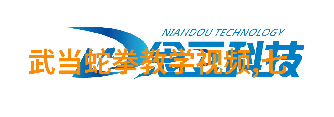 邓付凤解密陈氏太极拳秘籍吸引一线呼唤两极快速掌握轻功之道