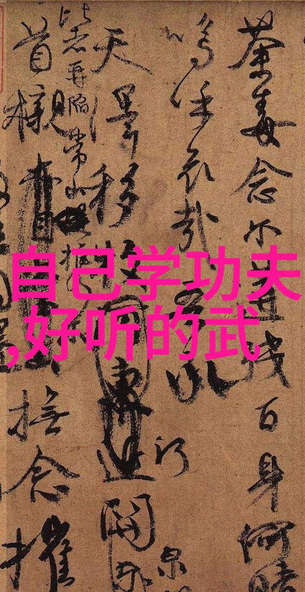 中国武术之旅我带你深入了解30个武术门派的精髓