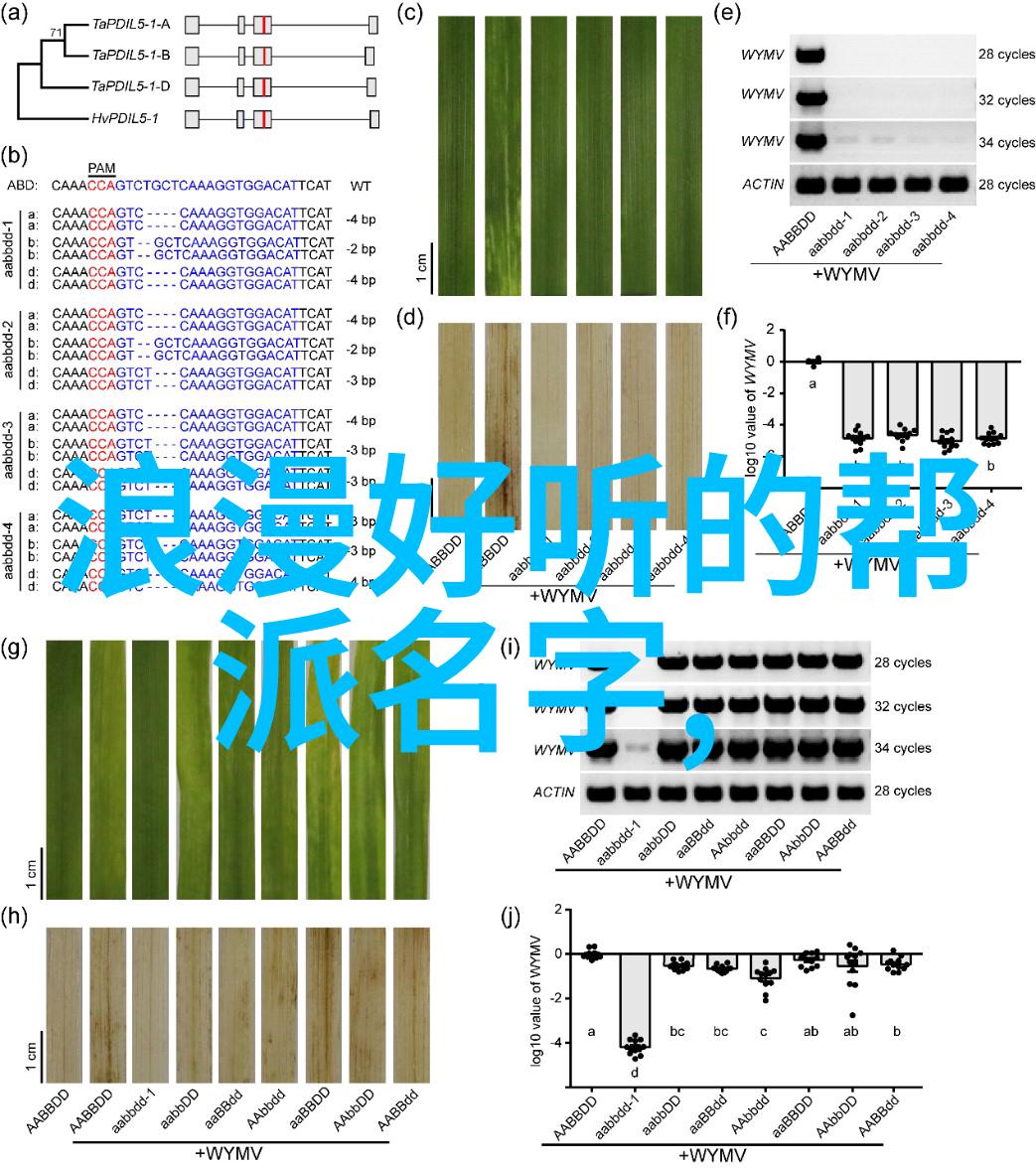 三尸的故事它们是怎样成为人类心灵深处的象征