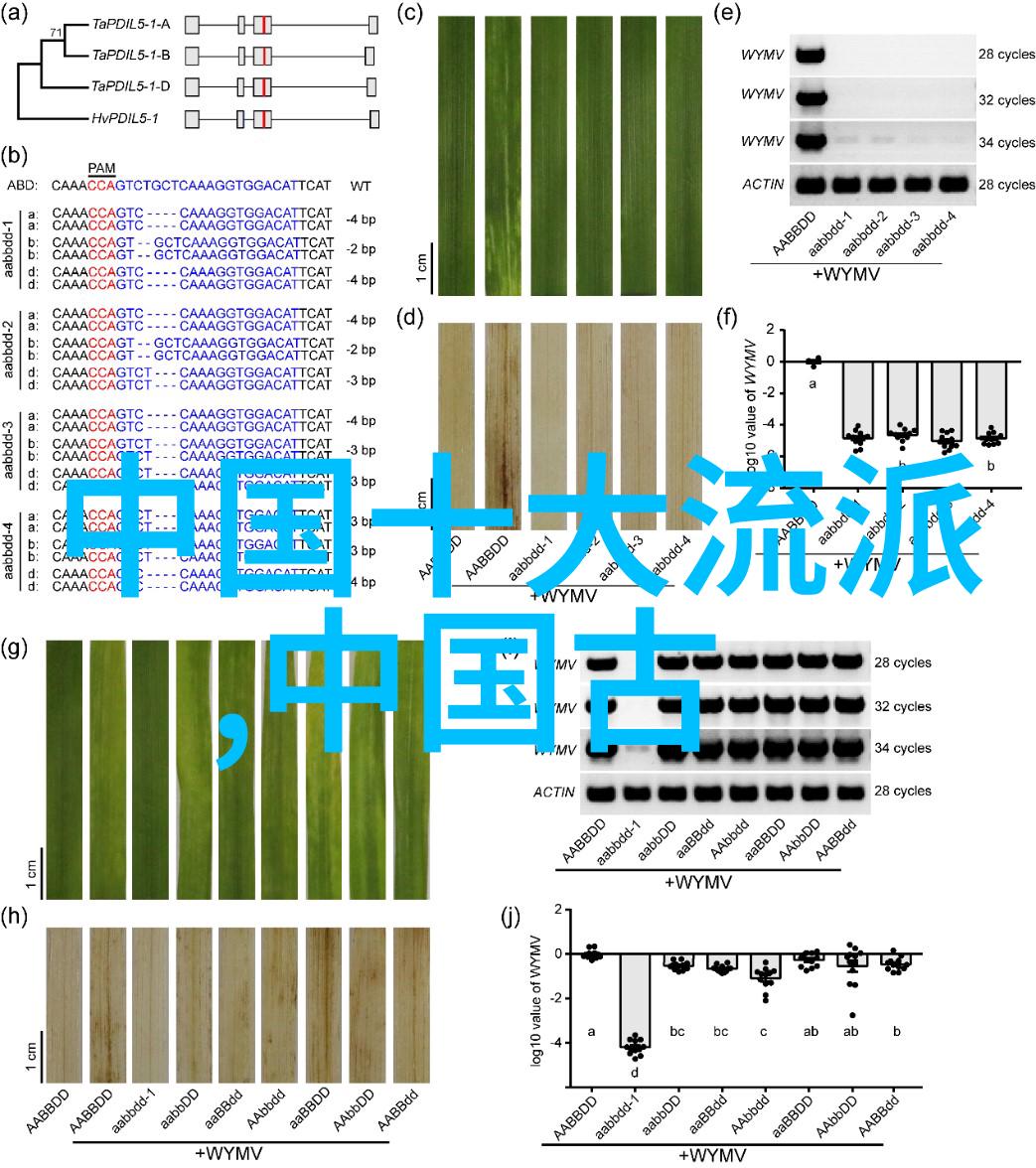 掌握传统技艺四十式太极拳视频带口令详解