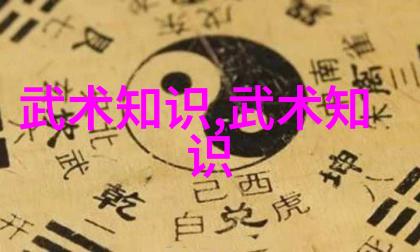 论功夫哲学如何通过学习这些经典的30种内家外家拳法提升自我悟性