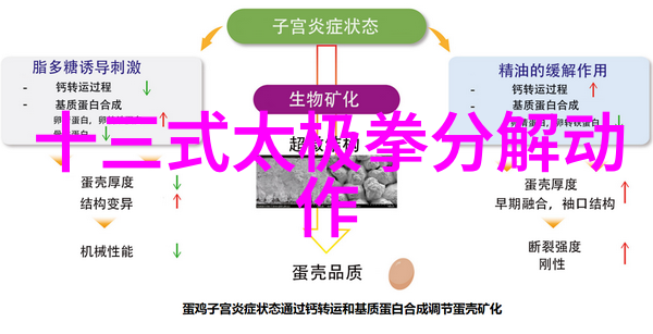 探秘古代名将背后的武学之路