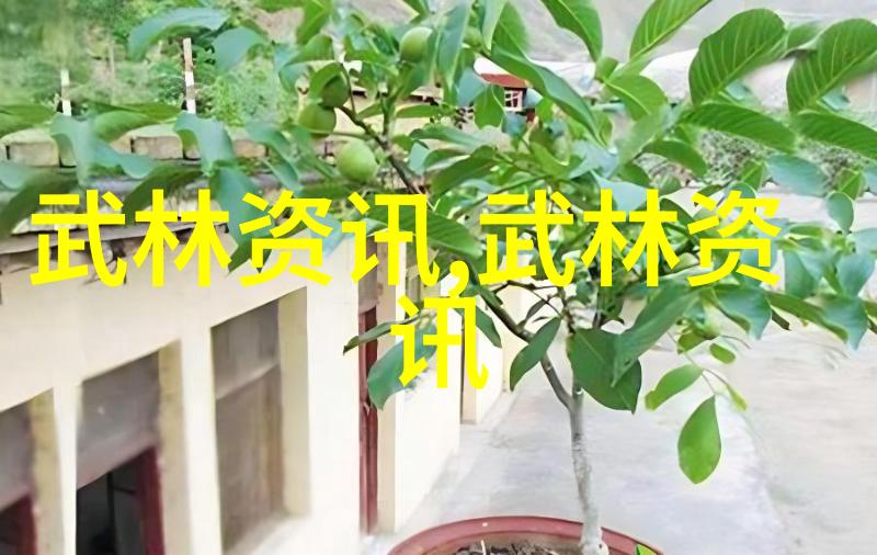 自己在家练武术的教程我是怎么在家就能学武术的