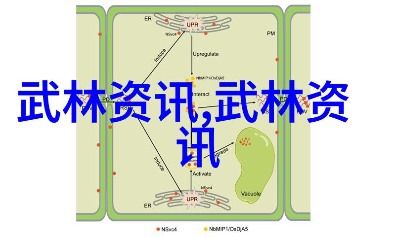 中国十大剑法秘笈八极拳逆思维格斗训练斩断对手意志之锁