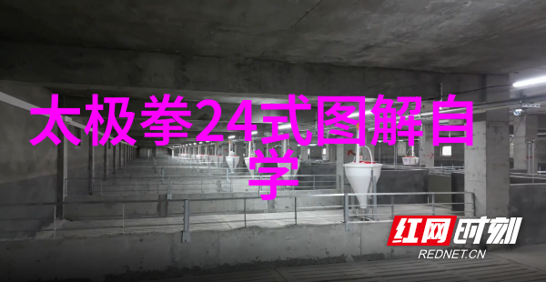 太极拳法之父雷生霖自作自受于其精心雕琢的24式每一步都在静声中诉说着古老智慧