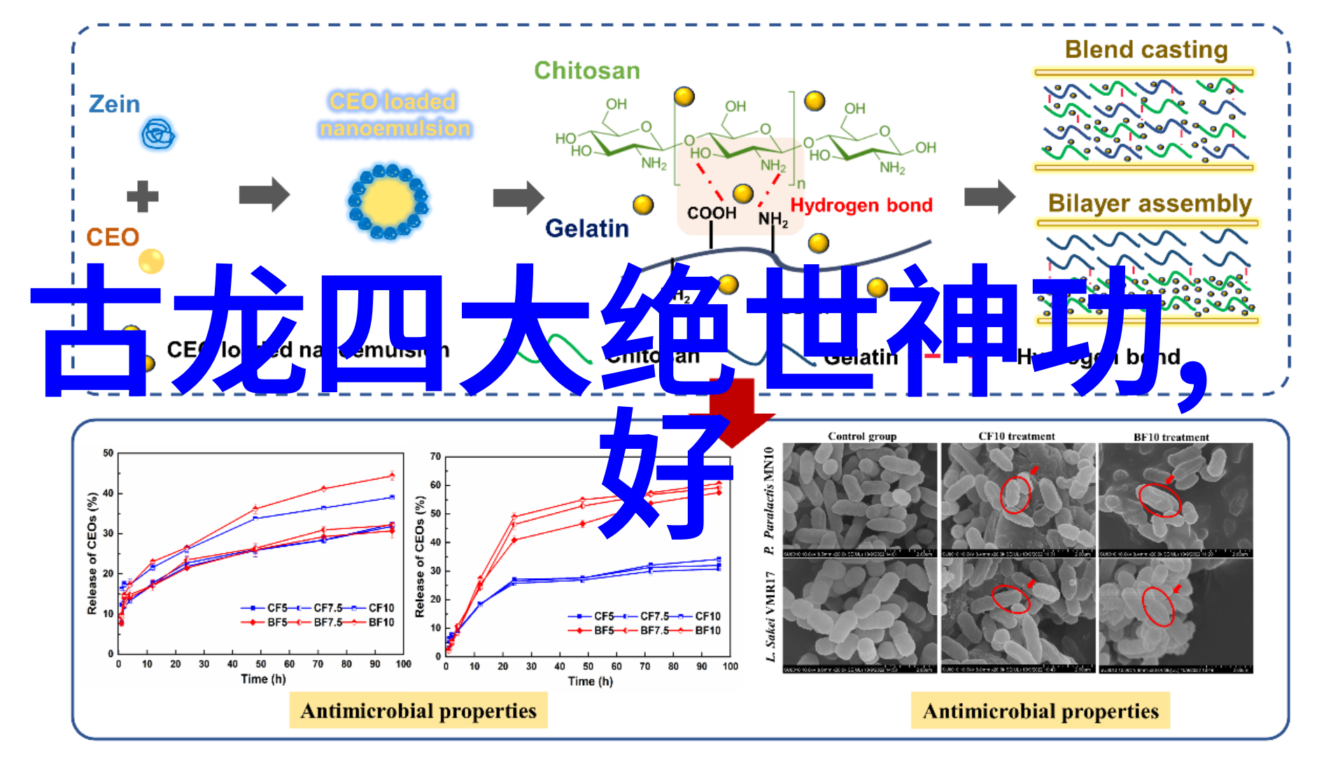 武功门派在社会中都有哪些探索武式固安太极拳的魅力