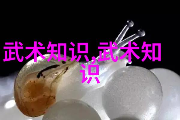 星辰联盟光彩绚烂的星辰联盟