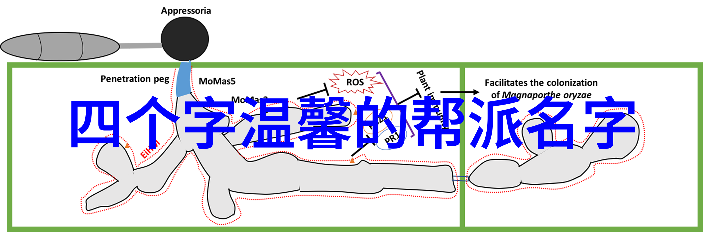 少林最厉害的拳法-打破常规揭秘武林中的绝技