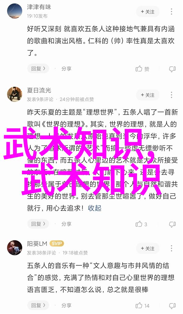 功夫秘籍教学我教你一招让你的打架技巧瞬间提升