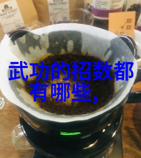 掌门人的秘密如何用一张脸让派现变得神奇