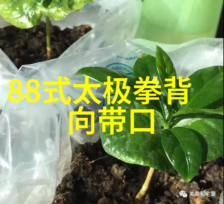 秘奥掌法解密降龙十八掌口诀