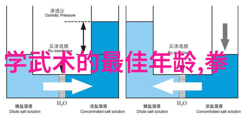 白猿通背源流考探究太极拳24式每一式图解视频在社会中的应用与推广