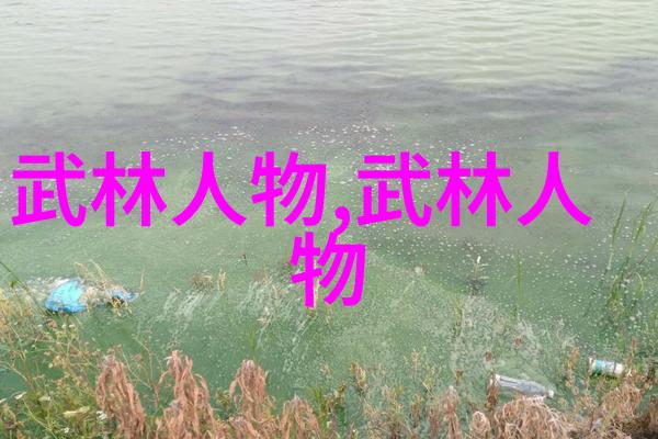 江苏武林门派风采江苏地区的传统武林门派文化与风貌