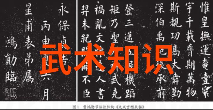 从字面到深意分析不同汉字组合在帮派名称中的象征意义