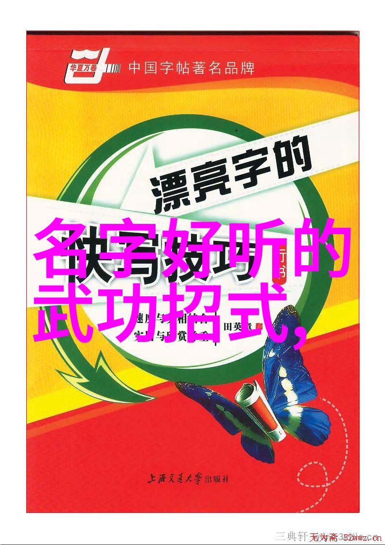 太极24式正面背面揭秘掌握内外功法的秘诀你必须知道