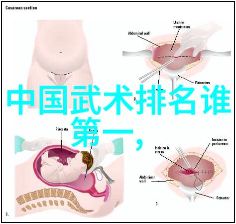 探索中华武学宝库全国各大武术门派的传统与魅力