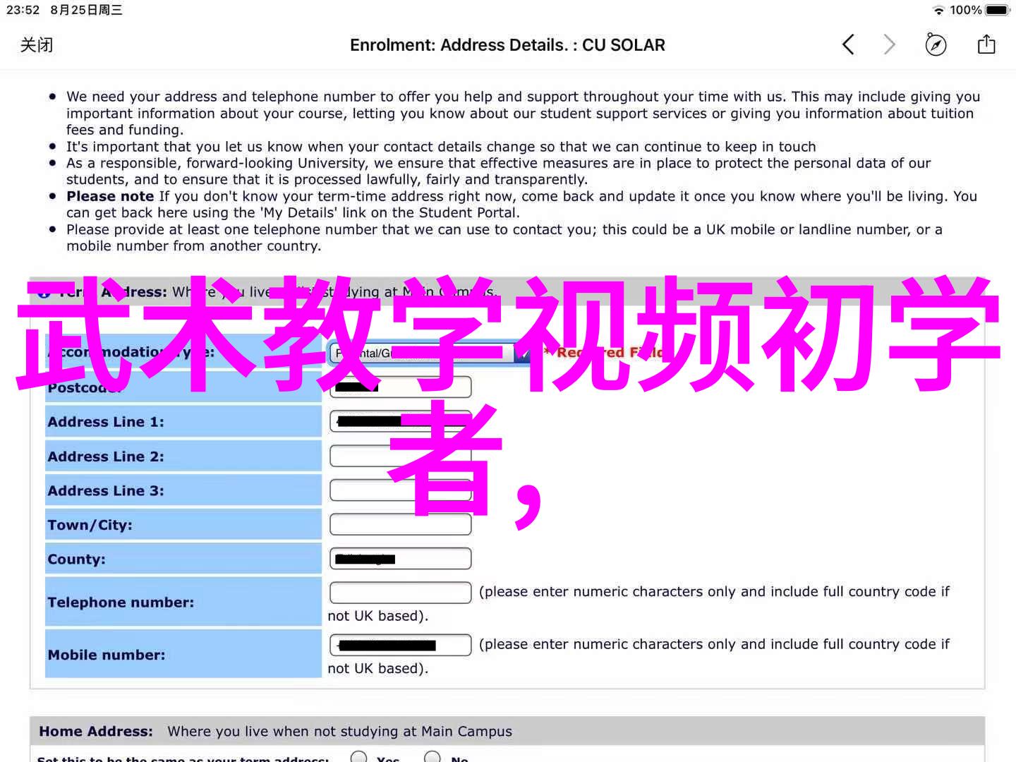 中国最有实战性的功夫揭秘内家拳的致命技巧